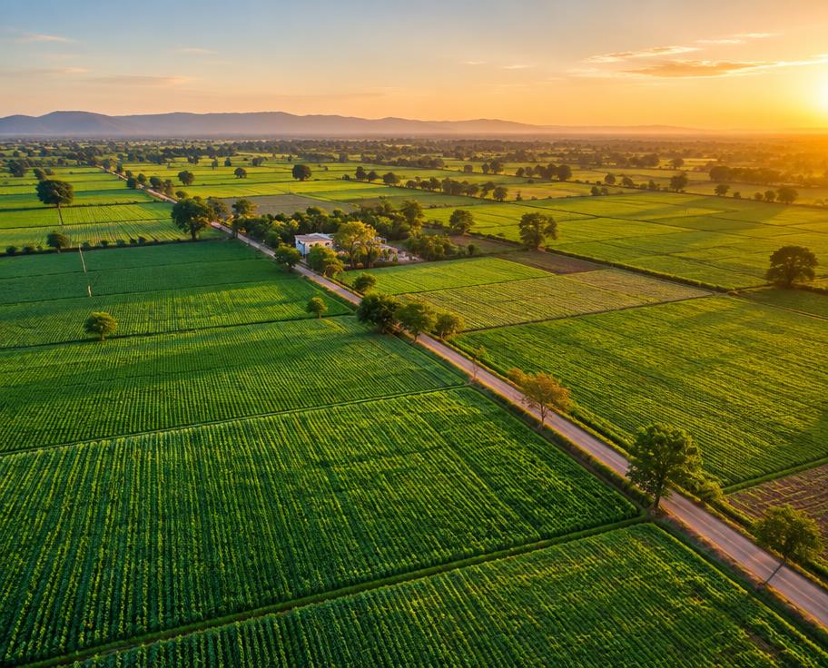 Agricultural property
